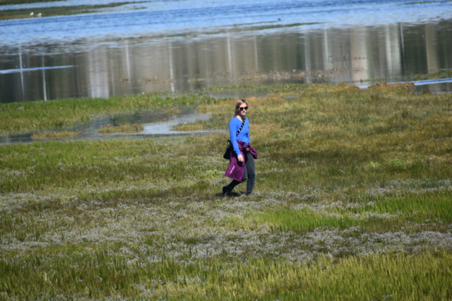 Sol led us into a bog to get a closer view of the flamingos...and then she got stuck