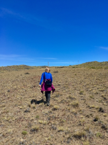 Off-roading. We're pretty sure there's a path here...