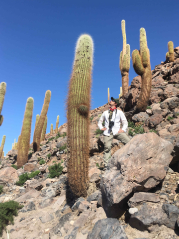 Eric looking up to a giant cactus