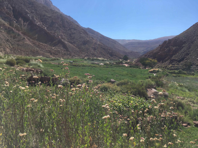 Lush valley