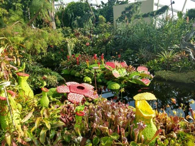 IMG_20190823_165718447_HDR