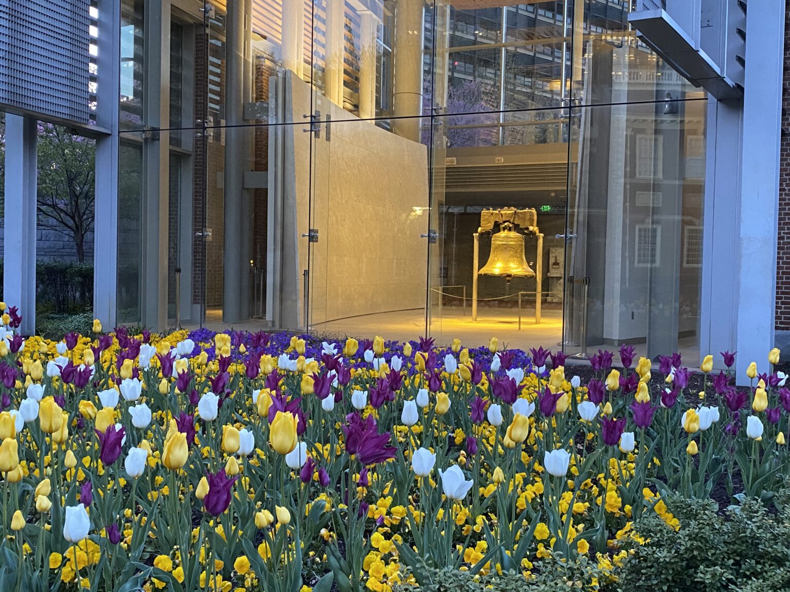 Tulips and the Liberty Bell