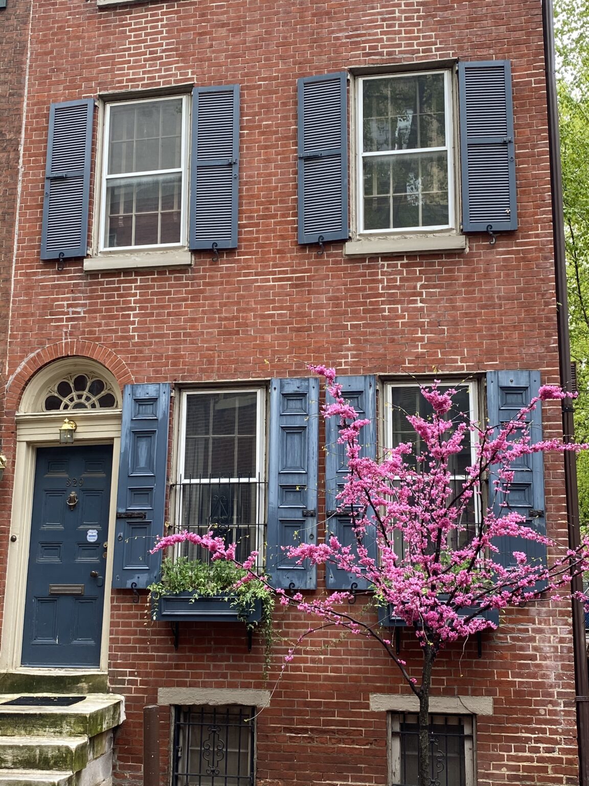 Springtime in Philadelphia