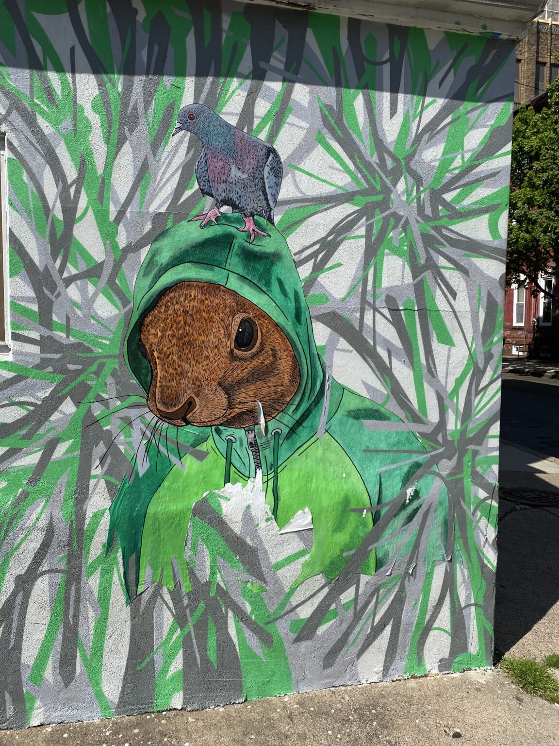 Squirrel in a hoodie